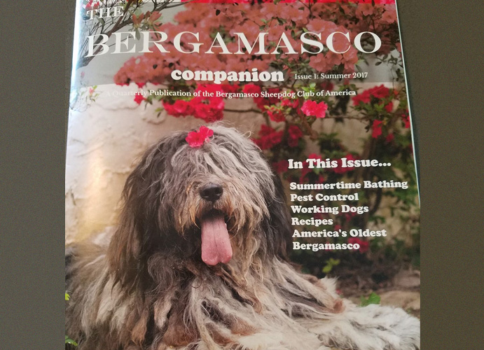 Bergamasco Magazine